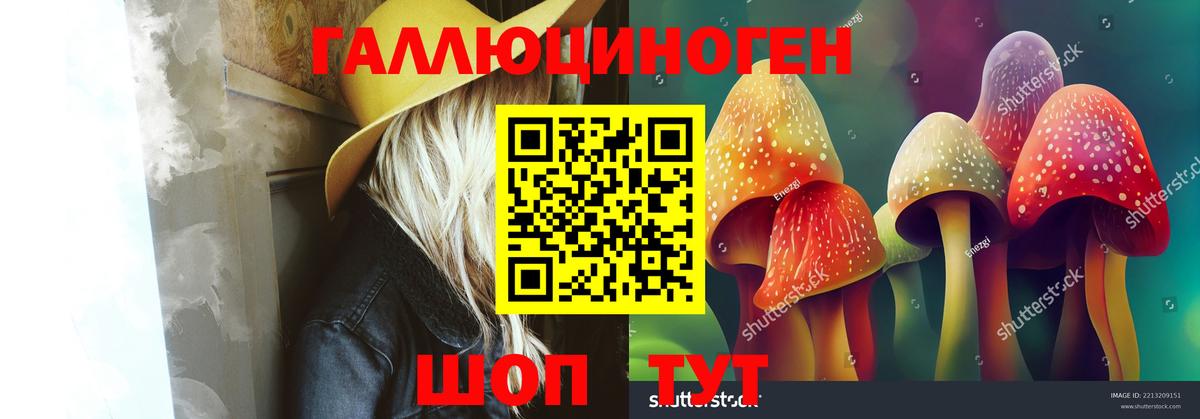 Псилоцибиновые грибы Psilocybine cubensis Амурск