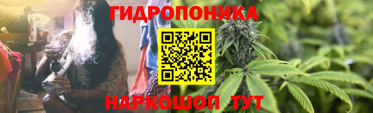 Шишки марихуана семена  Марихуана White Widow  Вход с VPN  Конопля марихуана  Конопля AK-47  Амурск 